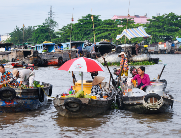 Les Saveurs Du Vietnam