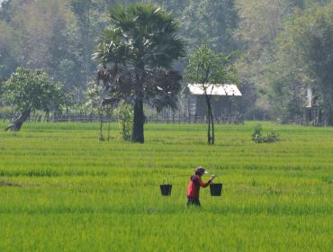 Laos Insolite