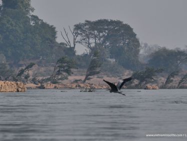 Les 4000 îles au Laos 