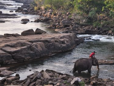 Plateau des Bolovens au Laos 