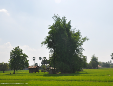 Les 4000 îles au Laos 