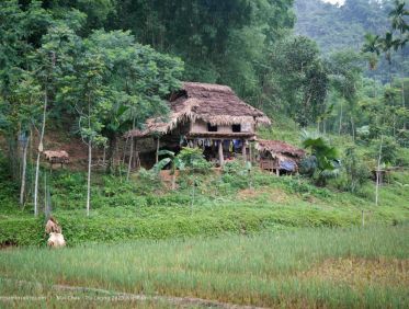 Pu Luong Randonnée Vietnam