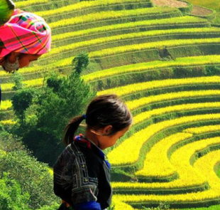 Sapa: Encounters With The Ethnic Groups Of Northern Vietnam