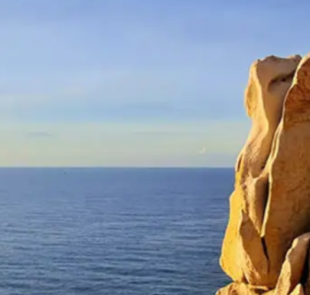 Nui Chua National Park – A Natural Sanctuary For Living Beings