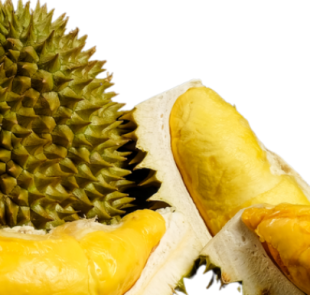 THE LEGEND OF THE DURIAN