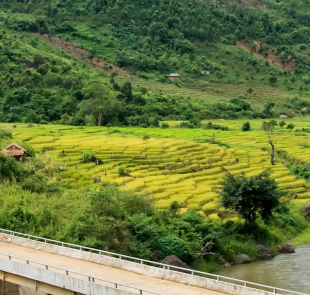 Kontum Authentique : Nature, Culture Et Saveurs à Explorer