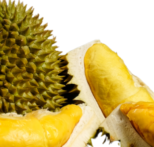 LA LÉGENDE DU DURIAN