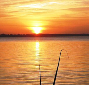 AU BORD DU FLEUVE HAU