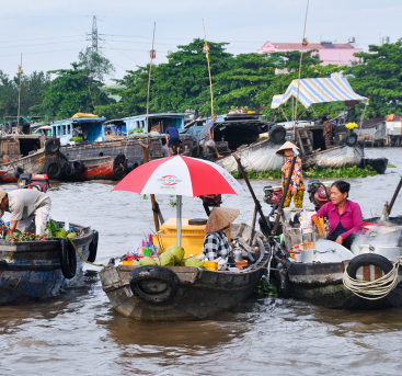 Les Saveurs Du Vietnam