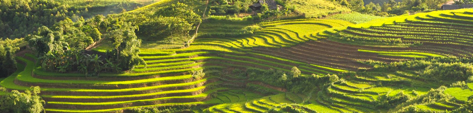Les 9 Plus Belles Rizières Du Vietnam