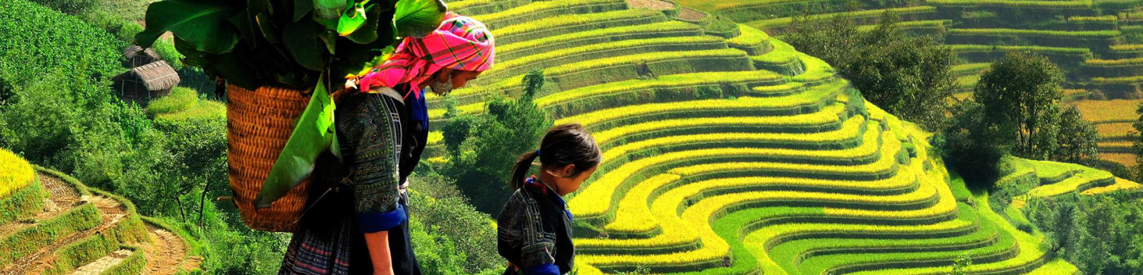Sapa: Encounters With The Ethnic Groups Of Northern Vietnam