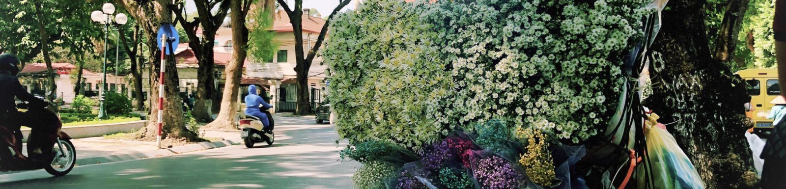 An Autumn In Hanoi: 5 Activities To Do
