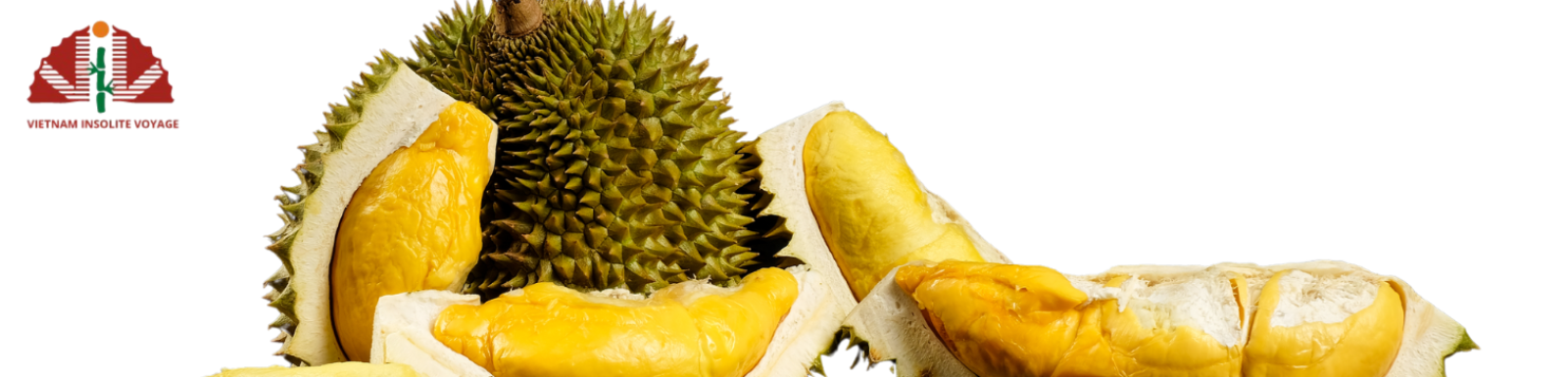 THE LEGEND OF THE DURIAN