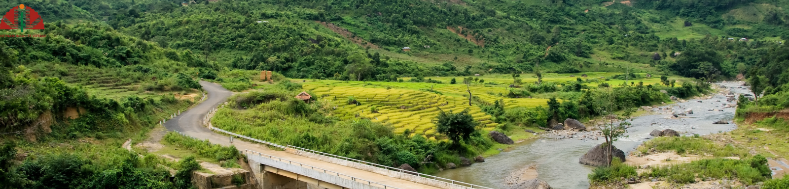 Kontum Authentique : Nature, Culture Et Saveurs à Explorer