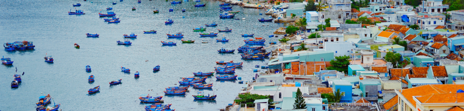 Que Faire à Quy Nhon ? Les Incontournables D'une Destination Authentique