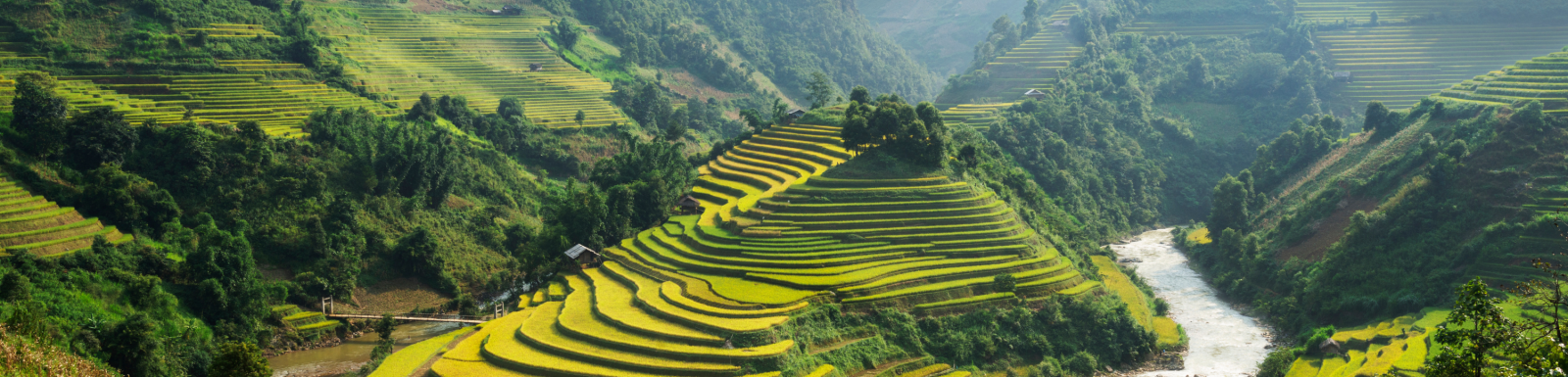 Top 5 Randonnée Printanière Dans Le Nord Du Vietnam