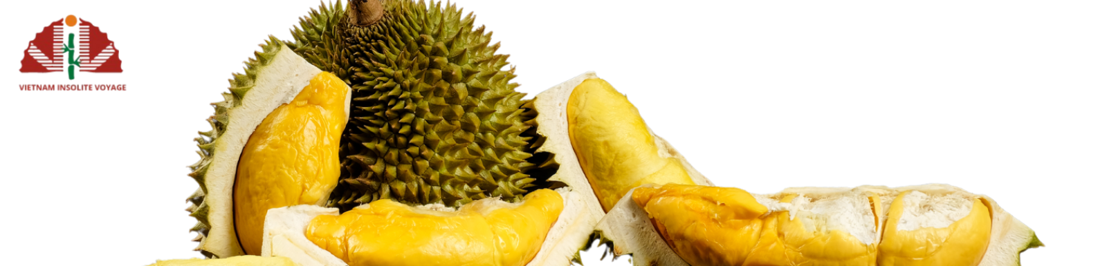 LA LÉGENDE DU DURIAN