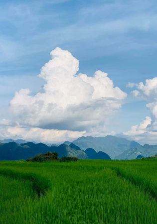 Mai Chau 