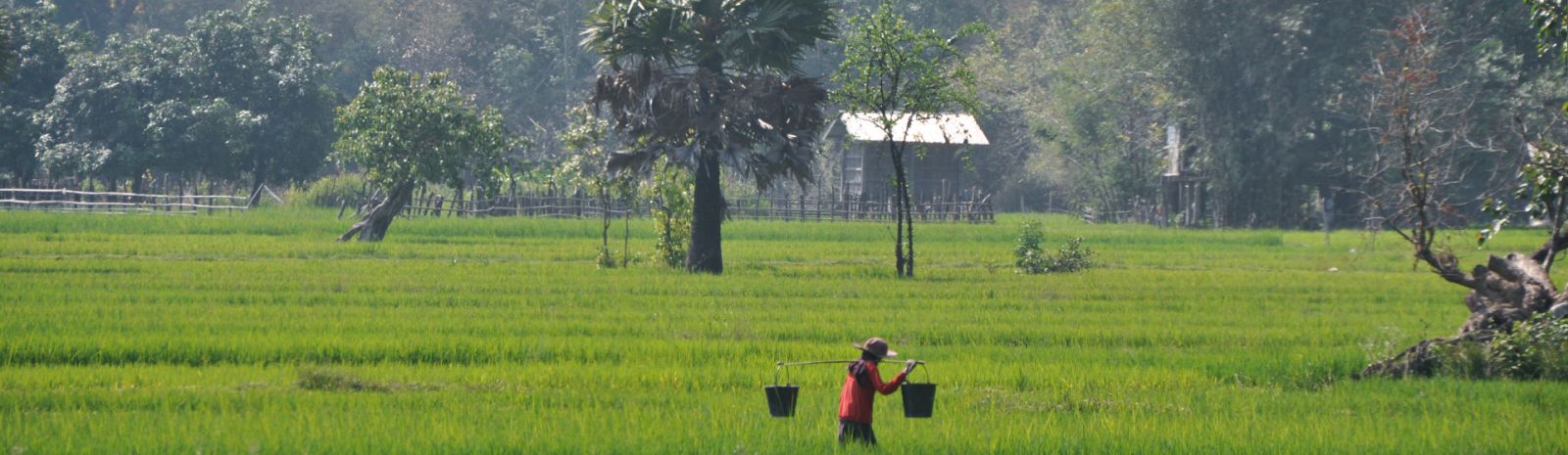 Laos Insolite