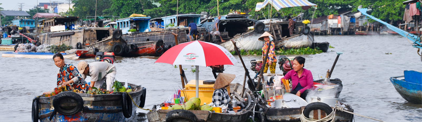 Les Saveurs Du Vietnam