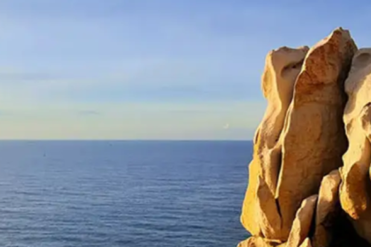 Nui Chua National Park – A Natural Sanctuary For Living Beings