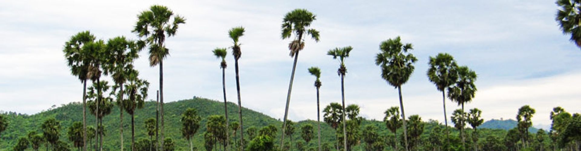 Les pays dans Kampong Chhnang