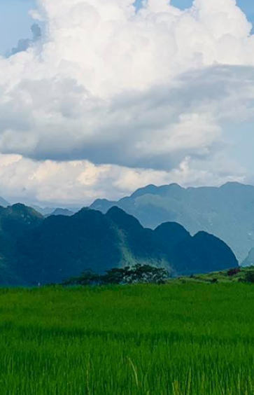 Explorer La Réserve Naturelle De Pù Luong 