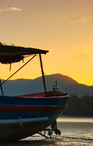 Con Dao : Une île Paradisiaque Qui Fut Un Enfer 