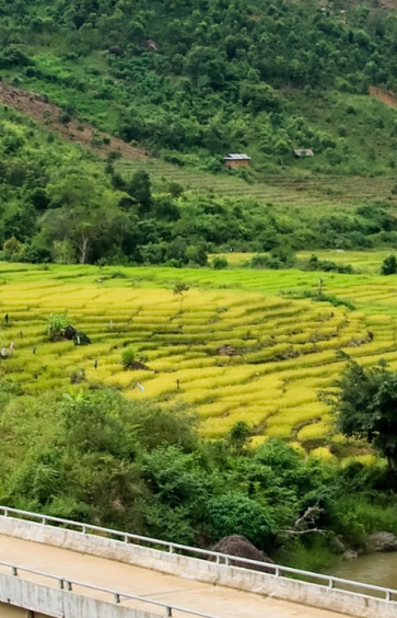 Kontum Authentique : Nature, Culture Et Saveurs à Explorer