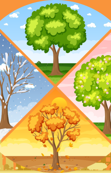 What Is The Best Season To Travel To Vietnam?