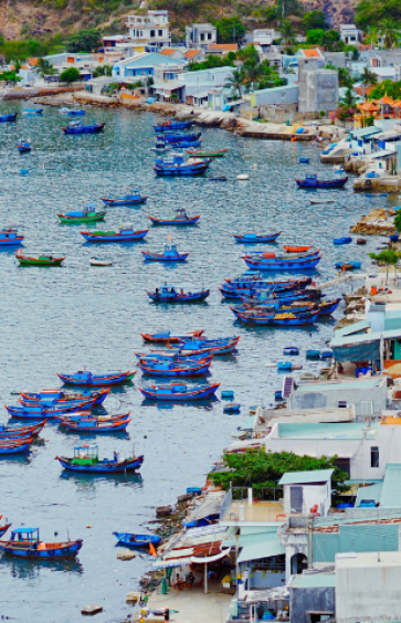 Que Faire à Quy Nhon ? Les Incontournables D'une Destination Authentique