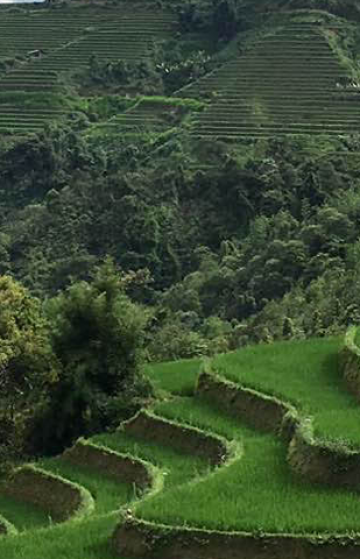 Explore Pù Luông nature reserve