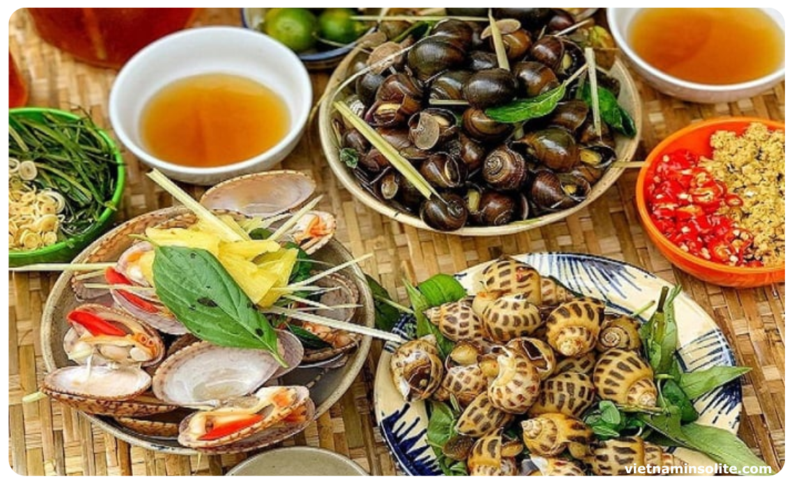 Grâce à l'abondance des ressources en fruits de mer, les escargots de Nha Trang se distinguent par leur grande taille, garantissant fraîcheur et prix abordables. 