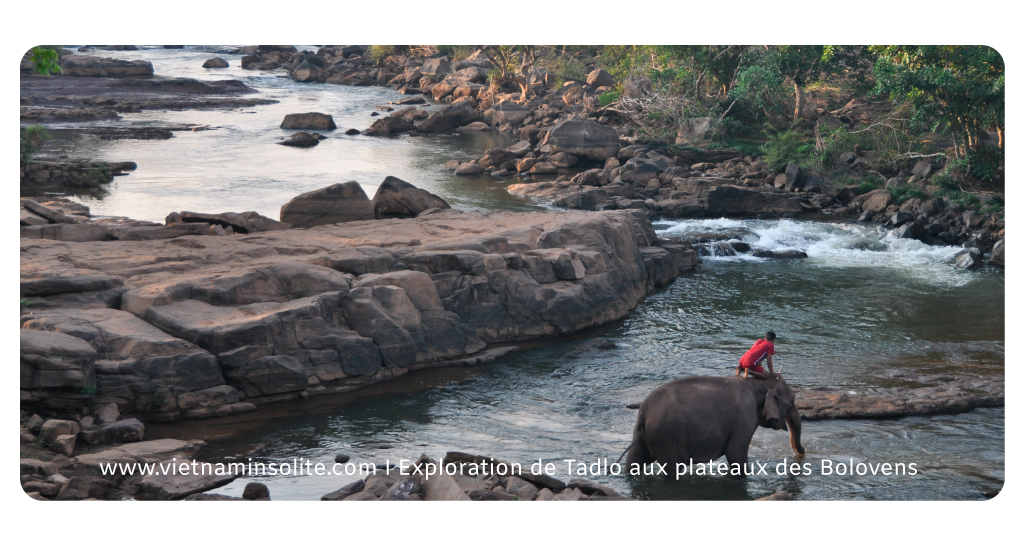 Les plateaux des Bolovens au laos 