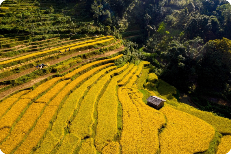 Cao Bang Province