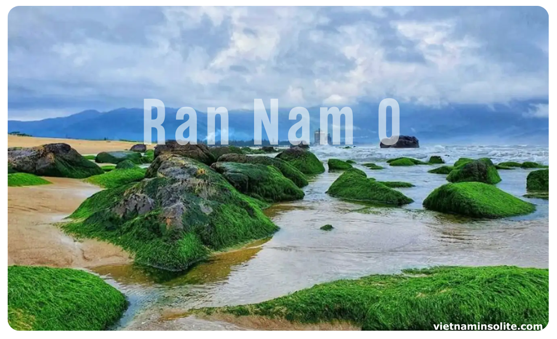 Cette plage est en réalité une zone rocheuse fascinante d'environ 2 hectares, nichée au cœur des eaux cristallines de la baie de Da Nang. 