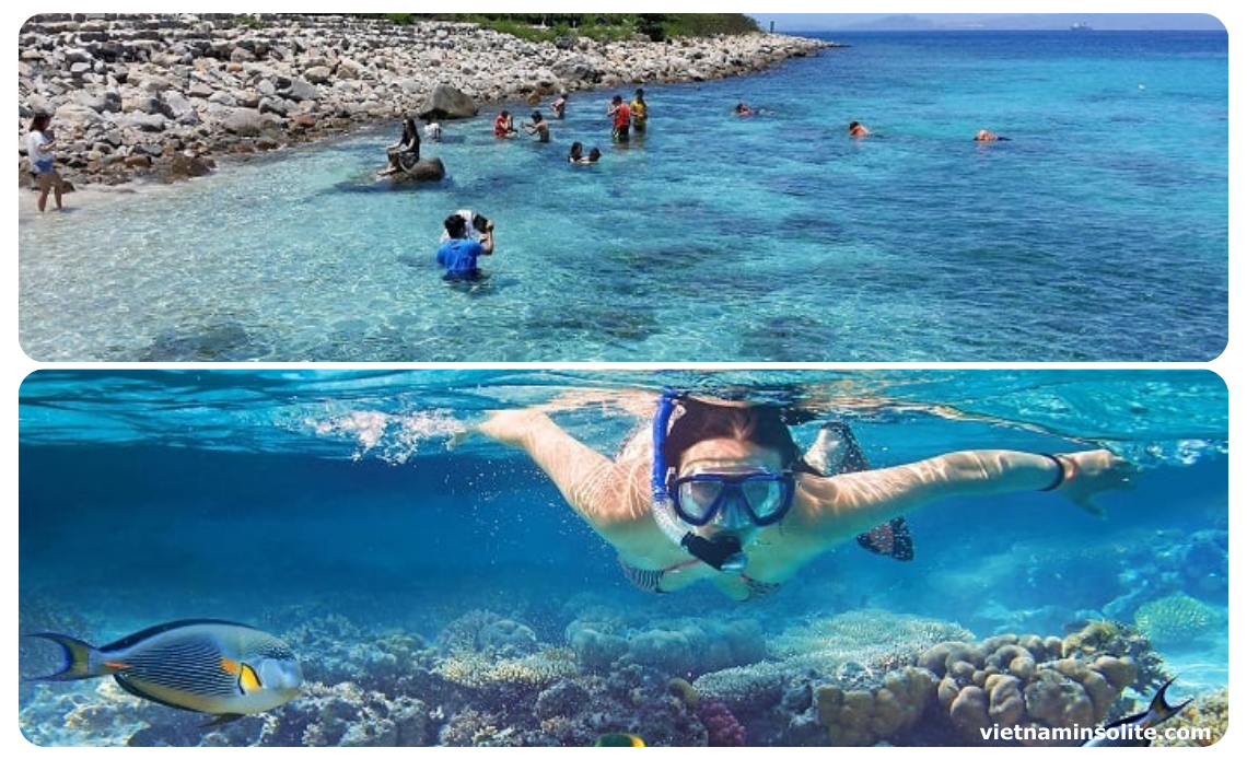 Avec un système aquatique diversifié et une eau de mer d'un bleu clair, c'est l'un des endroits parfaits pour la plongée sous-marine.