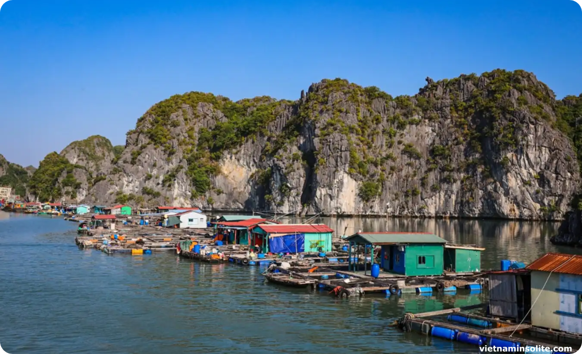 village de Viet Hai, Catba