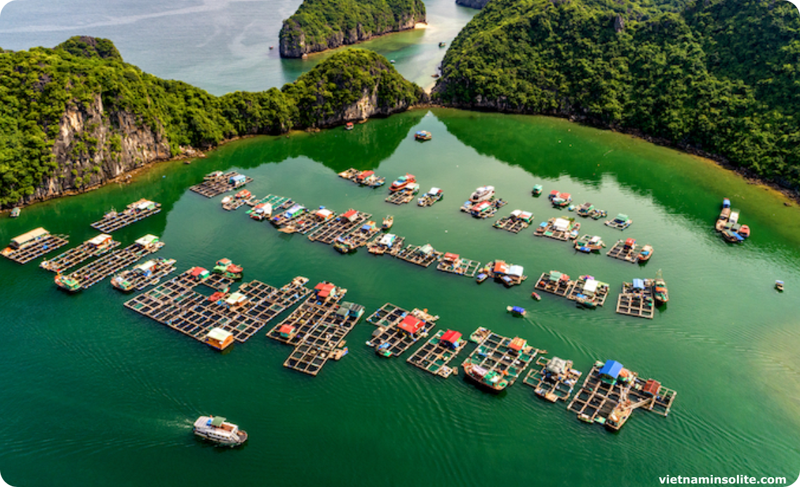 île de Cat Ba- à la baie Lan Ha, Haiphong