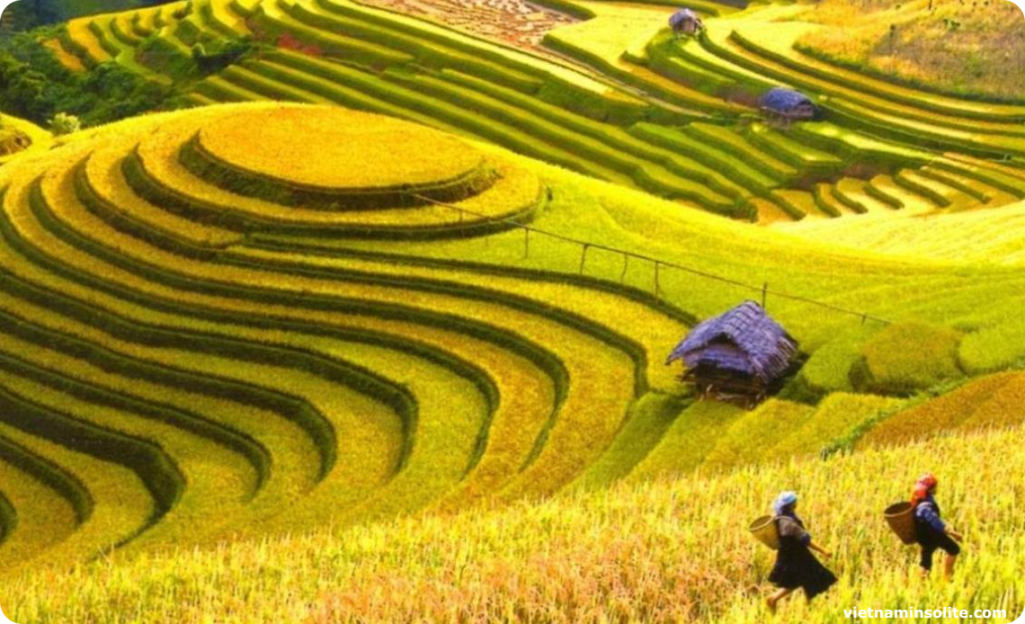 Hoang Su Phi - Ha giang au Vietnam