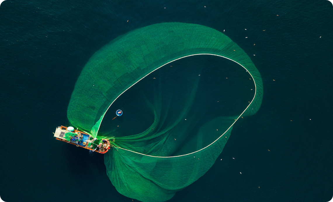 Les pêcheurs attrapent des anchois dans les eaux autour de Hon Yen.