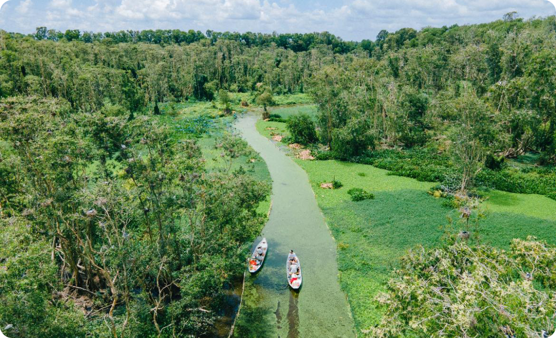 Forêt de cajuputs de Tra Su