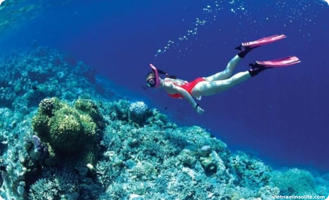 Plongée en apnée dans la baie de Lan Ha