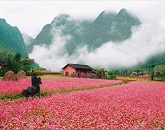 Tour Hà Giang Mùa Hoa