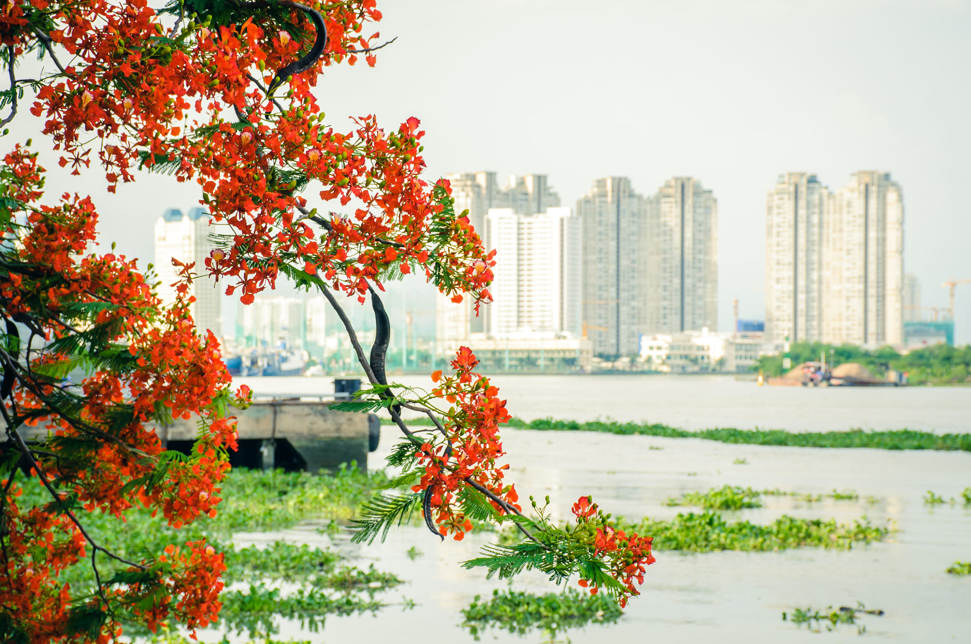 Du Lịch Huế - Nakhon Phanom - Vientiane