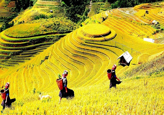 Tour Khám Phá Hà Giang Hùng Vĩ