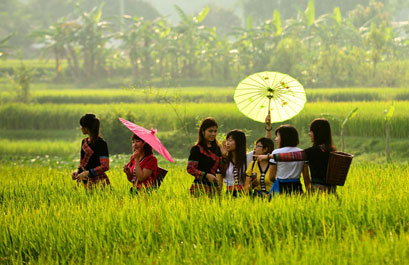 Hà Nội- Mộc Châu-Lên Núi