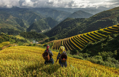 Tour Sapa - Fansipan 2 Ngày 1 Đêm
