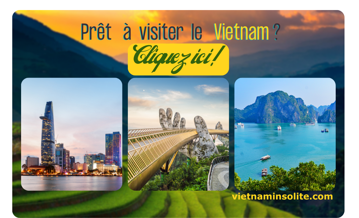 cta banner, voyage au vietnam